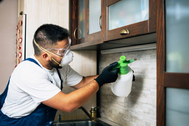 Best Ant Control Services  in Sublimity, OR