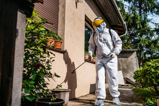 Professional Pest Control in Sublimity, OR