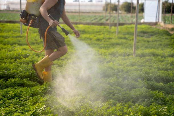 Best Wildlife Control Services  in Sublimity, OR