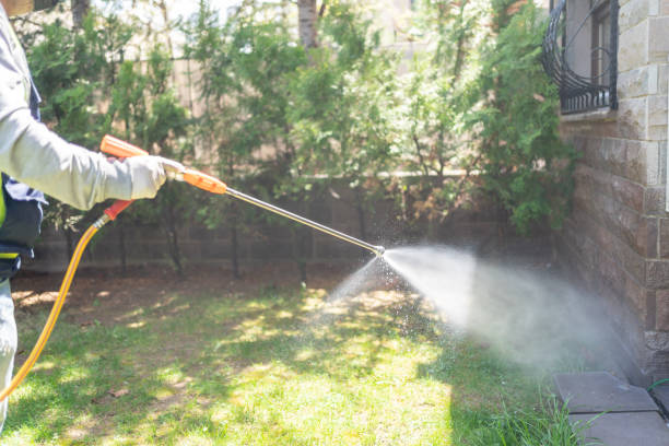 Best Emergency Pest Control  in Sublimity, OR