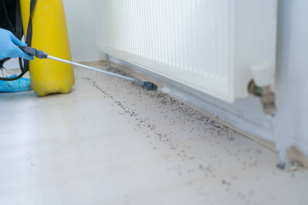 Best Pest Inspection Near Me  in Sublimity, OR