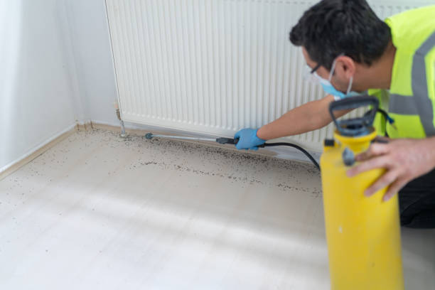 Best Mosquito Control Services  in Sublimity, OR