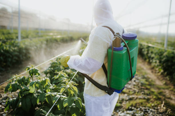 Best Pest Prevention Services  in Sublimity, OR